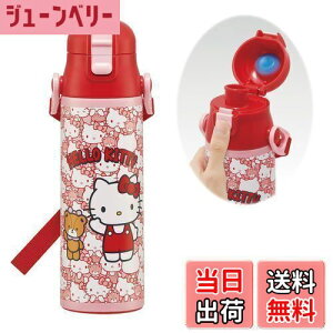 yzXP[^[(Skater) qp XeX   580ml n[LeB 낤 TI qɗDyʃ^Cv ۗp waterbottle X|[c{g 킢LbY q 