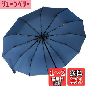 yz܂肽ݎP ZruieryTCYE12{z ܂ݎP y Y fB[X 傫 12{ xOXt@Co[ ϕ 蓮J 肽ݎP 䕗Ή JΉ 