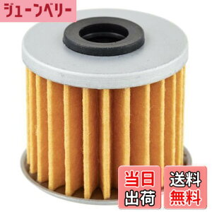 �y���������z�L�W�}(Kijima) �o�C�N�p�[�c �I�C���t�B���^�[ �G�������g�^�C�v 15412-MGS-D21 DCT 36mmx38/40mm 105-536