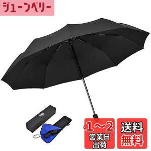 yzTAIKUU ܂肽ݎP v y 傫TCY 12{ ܂ݎP  ϕ ɋ ܏P Y 蓮  PP[Xt(ubN)