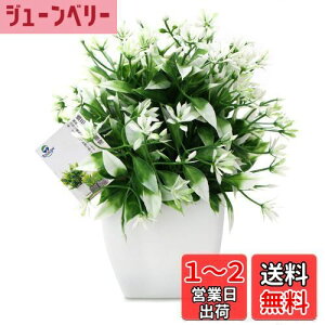 yzTOSSOW lHϗtA  tFCNO[ tFCNϗtA l CeA v[g ΂Ɣt