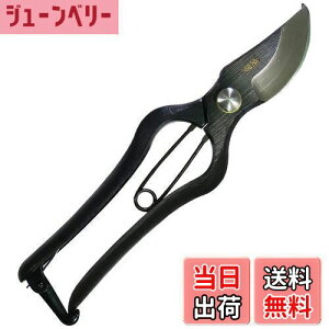 yzߗ^(KONYO) { ł  炩Ȑ؂ƊmȐ؂ꖡ ̂Â̊XuVOsv̏ɂ`Zp 20.5cm