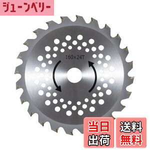 yzHi(KOSHIN) [d@ SGRp ֐n `bv\[ PA-432