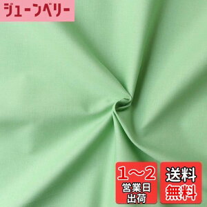 yz{Rtf(Nippon Chuko) GCeBXNGA n n 100% V[eBO xr[O[ O[n Ж110cm×50cmؔJbg KD4630-122-50CM n nn GCeBXNGA