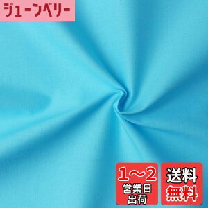 yz{Rtf(Nippon Chuko) GCeBXNGA n n 100% V[eBO ~YC u[n Ж110cm×50cmؔJbg KD4630-244-50CM n nn GCeBXNGA