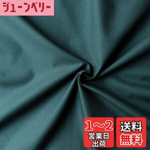 yz{Rtf(Nippon Chuko) GCeBXNGA n n 100% V[eBO {gO[ O[n Ж110cm×1mؔJbg KD4630-141-1M n nn GCeBXNGA