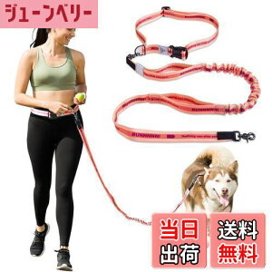 yzJC HOUSE  [h ^ ^p jO[h nYt[ xgt P U WMO p[h 2 Lk  xޗ ݐ؂h~ ׏d100kg s