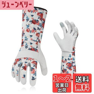 yz[Vgo...] fB[X K[fO[u  rJo[ gQh~ rv| p O  Ɨp (Size L,zCg,GA9658)