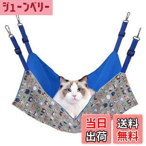 yzL nbN Blueekin LbgnbN q\ 56cm x 46cm ω׏d10KG 傫 ybg xbh ˂nbN P[Wp ʋC ڂ Vя v ې ē~p