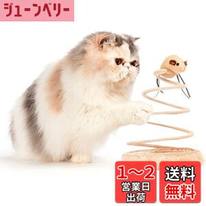 yzL ] lY~ Lpmߋ VԔ TCUʂ V ^s XgX L炵̂ (˂)