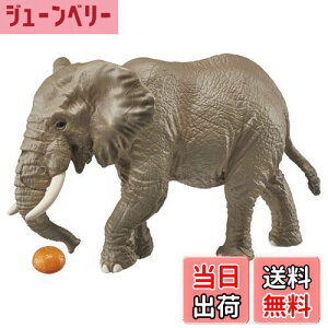 yz^Jg~[ AjA AS-02 AtJ]E (IWt)    3Έȏ