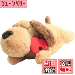 yzDEWU ybgpn[gr[gʂ݁Aqŝ\tgybgg[ʂ݃X[sOofBs⏕sɘa⏕ʂ݃X}[gL