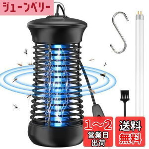 yzy2025vV&͂ɎEz dE sunnila  RoG ߒ E ECg d UVzߒ Ꮬ 쏜  U @ ȒP UVC