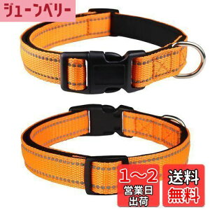 【送料無料】THAIN 犬 首輪 犬の首輪 小型、中型、大型犬用首輪 子犬 首輪 軽量 ペット用品 反射材料 ナイロン製 通気性 弾力性 柔らかい 調節可能 (L, オレンジ)