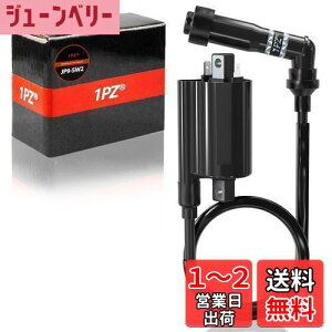 yz1PZ JP9-SW2  _Λp COjbVRC vOR[h XYL {eB250 SYM250 XJCEFCu250 400 fXy[h400 ЊOi oCN eiX p[c