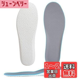 yz[Kozzim] V[Nbg C\[ ~ Ռz gAbv Iׂ鍂3TCYy1.5cm/2.5cm/3.5cmz (grayp(22`25cm), 2.5CM)