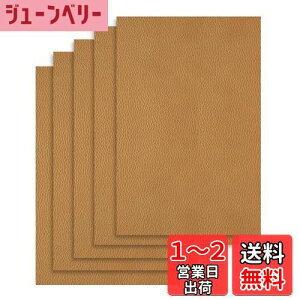 yzDERAYEE \郌U[  n \t@[CV[ ڒ ϋv CV[g oCN V[g C vV[g h (J[LF, 20X30cm)