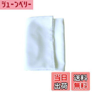 yzC~ 110cm 3.5  T @ V  [ كJo[ ӂ낵  |GXe 唻 n (1, )