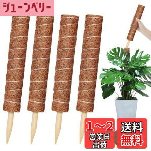 yzYOUSHY440cm|x ϗtAXe x wSx鐫A ϗtA RRXeBbNx AT|[gt[X^h RRibcx Ԏx K[fjOx _