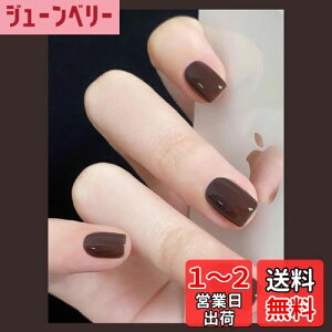 yzFuyunohi lC`bv V[g  Z V[glC`bv n  ؍ GKg Ȗ ʃe[vt ȒPɎt 24Zbg DIY ֗ lCpi   