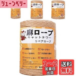 yzyƊďCz[v  6mm R Ђ yA[v L^[ XNb`[ ܌ Lbg^[p ܂Ƃ  DIY |(100m)