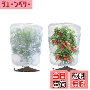 yzLIANHATA hlbg 2Zbg AیJo[ bVВ hlbg 悯Jo[ ؖ ΍ ʋC  Ap ؍͔| ؉v^[p (80*80cm)