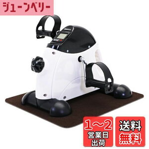 【送料無料】PROIRON フィットネスバイク エクササイズ 静音 小型 サイクリング サイクルマシン ミニバイク 腕・脚用 有酸素運動 ダイエット リハビリ 高齢者運動グッズ 座ったまま 自宅用 運