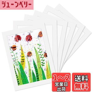 yzHaojiaho Wp tHgt[ 6Zbg A4TCY ypCz q̊G Wp A[gt[ Ǌ|  y  G拳 G W y[p[tHgt[ q
