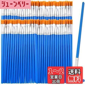 yzDFsucces M GM 50{Zbg 16.5cm ޕM ʕM vf h ʉ G AN yCg