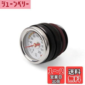 yzazumafy v oCNpv GWv ^NJo[ ICev[^[ AiO I[goC GW 1987-1998N 650 ICv ubN