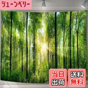 �y���������zU-SITU �^�y�X�g���[ �Ǌ|�� �Ǐ��� �X ���� �ъ� ���R�i�F �I�V���� �w�i ���@�\ �z�|�X�^�[ �C���e���A ���͋C�]���i�T�C�Y�F����75cm x ��100cm�j�J���[�FGT0107SA
