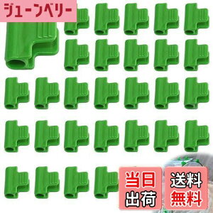 yzNvNbv ApNbv ANbv xNbv 30 xɌŒNbv a11mm`[uKp UNbv hlbgŒ lbg ϊ 