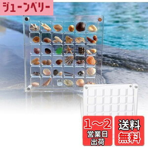 yzsiawadeky Lk fBXvC {bNX 2Zbg S }Olbg ~jLk{bNX h ho AN VF[P[X L qgf lC r[Y  CP[X 