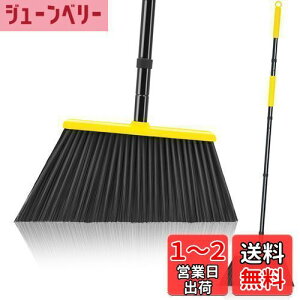 yzJEHONNقS140cm 䕝36cm [ɕ֗ | ⴉO   z[ VbvœK F