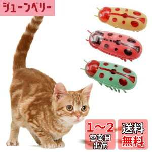 yzKASELIN d  3Zbg drL񂨂 dCybĝ  L ߋ lV QԂ@\ Cat'sbug! ĂƂ ~jdqJugV LpC^N