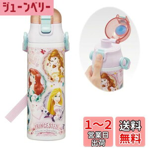 yzXP[^[(Skater) qp XeX   580ml fBYj[ vZX 24 qɗDyʃ^Cv ۗp waterbottle X|[c{g  LbY q ǂ r