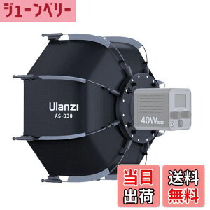 yzUlanzi AS-D30 30cmp`\tg{bNX \tg{bNX Au \tg{bNX IN^S{bNX ܂肽ݎ fBt[U[ Au^Cv gsv obO+njJ