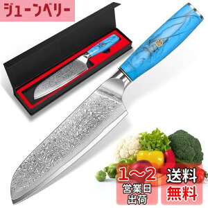 yzKyushuBlade  O _}XJX nn175mm. vp, Lb`p\. łb_}XJX͗l VFtiCt n p, Kтɂ67w̍Yf