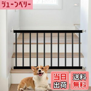 yzTSAYAWA xr[Q[g Ⴂ p[e[V Q[g ႢQ[g ˂莮 44cm  ybg ^tFX (64-71cm, ubN)