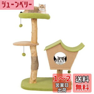 yzGYMAX Lbg^[ 110cm ؐ LnEX L^[ L Lp u  {{t VRR ܂Ƃ ܖ W] 芴 ^s L L