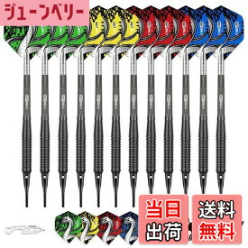 【送料無料】Cyeelifeソフトチップダーツ12点,プロ18グラムプラスチックチップダーツセット、13個の透明PC軸100個のエクストラダーツチップ16個のダーツ2個のフライトプロテクターと電子ダーツレンチ付き