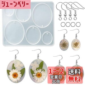 【送料無料】5WYOUKE 楕円形 イヤリングモールド シリコンモールド レジン モールド 楕円 イヤリング 金具付き 穴あけ サイズ違い エポキシ樹脂 手作り ペンダント ジュエリーモールド ピアス