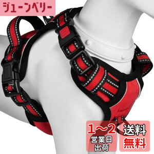 yz[2025ŐV^n[lX]BaoCheng p ^/^/^n[lX p h~ A^}ʂ P݌y TCY\ Ԕˍ Ȃ ʋC ȒP