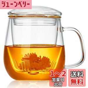 yz|JeB[ t}OJbv ϔMKX eB[Jbv 520ml Infusion Mug  }bO Wt ΑΉ dqWΉ g }OJbv NARbv  [teB[ H