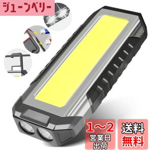 yzCHAMCHOI LEDƓ [NCg led [dyő3000LM 5000mAHe IP66hzPx 7_[h ̓}Olbg Type-C[d tbNt d@\ pCg RpNg 