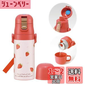 yzXP[^[(Skater) qp 2WAY  Rbv  Xgx[ sN 350ml(Rbv)420ml(ݎ) XeX LbY e ̎q SKDC3