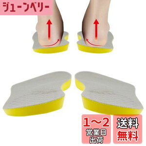 yzXr΍ C\[ XrT|[^[ ~Ռz ɂ A[`^ΕPEЂE̕Sy y܂c{}bT[Wjp (O[+, L Size (26~27.5cm))