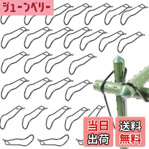 yzBenRan ؉NXoh 30{ | x 16mm 20mm ؉ _ xŒ WCg p[c (A)