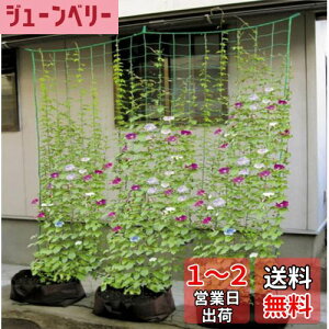 【送料無料】【緑のカーテンを作ろう】つる栽培ネット つるもの ネット 野菜誘引 10cm角目 1.8m*2.7m 四隅取付ロープ付 ゴーヤ ヘチマ 朝顔 カーテン 田畑 菜園 園芸用品 緑