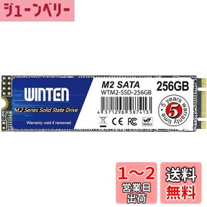 yzWINTEN SSD M.2 SATA 256GB 2280 3D NAND SATA3 6Gb/siőǎ 500MB/s ő发 500MB/sjG[@\ ȓd Ռɋ ^yzWTM2-SSD-256GB 6083
